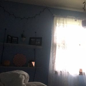 Meet your Posher, Alli